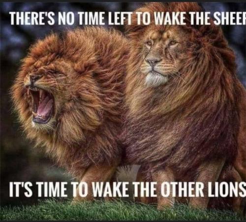 Screenshot_20220731-083154