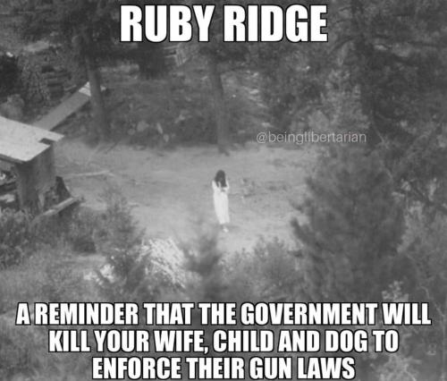 FB_IMG_1659956631657