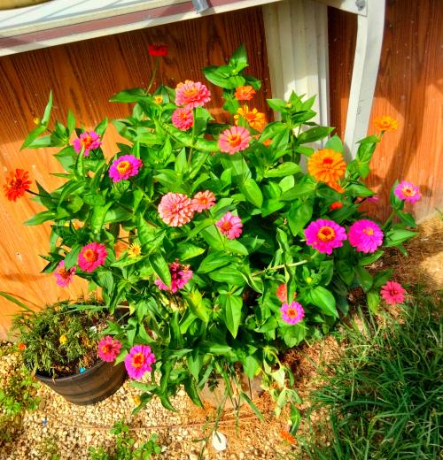 IMG_20220815_162023__01