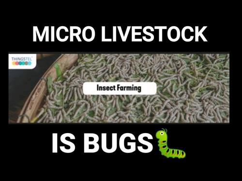 Screenshot_2022-08-08-16-09-07-560_cn.wps.moffice_eng~2