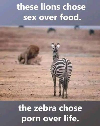 FB_IMG_1660772637824