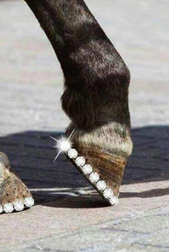 FB_IMG_1656197828031