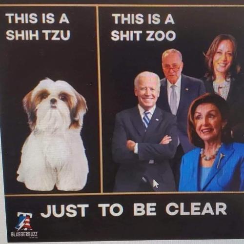 FB_IMG_1659698219241