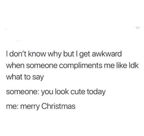 FB_IMG_1659497101806