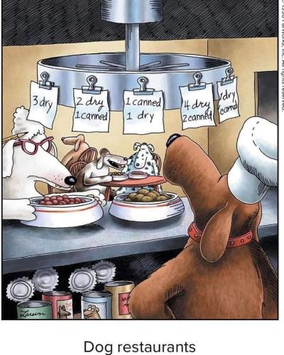 298806413_10159741948756049_4497593035589072854_n