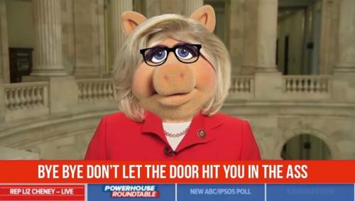 Bye Bye Liz Cheney
