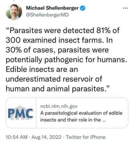 photo_2022-08-18_12-27-09