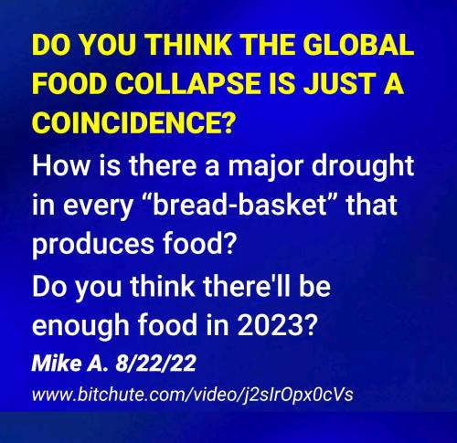 Screenshot_2022-08-23-12-53-45-108_cn.wps.moffice_eng~2