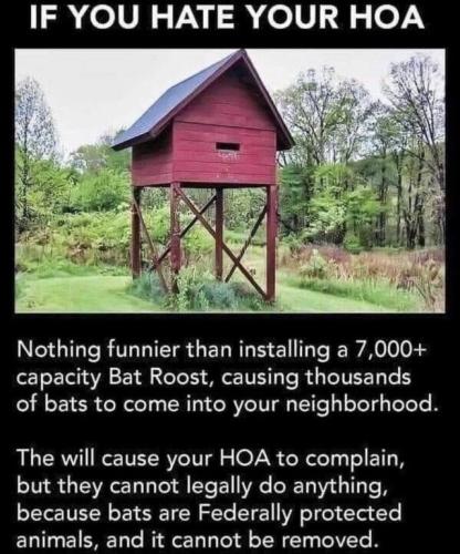 tumblr_5567639326803be8bf54e5e6159a816e_f76448f1_640