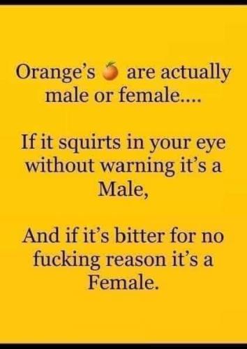 FB_IMG_1659968408846