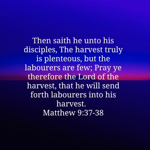 08:18:45 GMT-0400 (EDT)