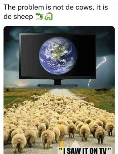 FB_IMG_1660276193186