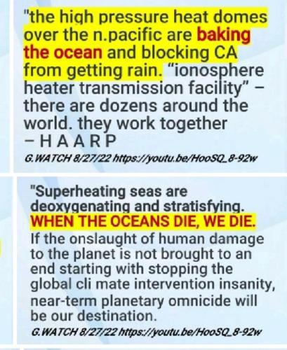 Screenshot_2022-08-30-14-38-20-302_com.google.android.apps.photos