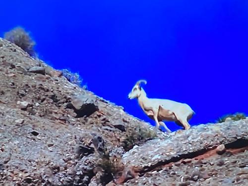 5D95C795-9124-4DA8-BCBA-246ADE1D3BD0