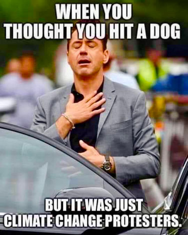 when you think that you had just hit a dog