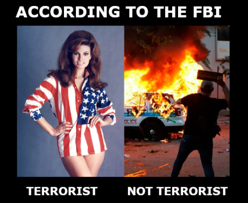 According to the FBI;Terrorist Not Terrorist
