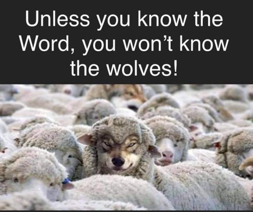 FB_IMG_1626603796790