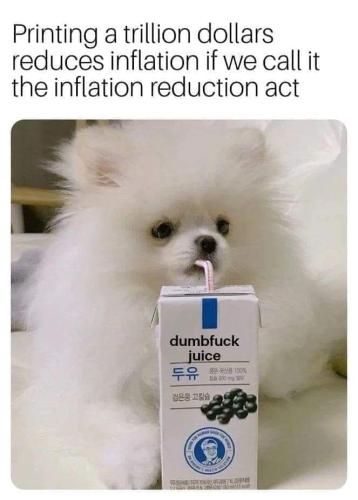 Inflation Act 1