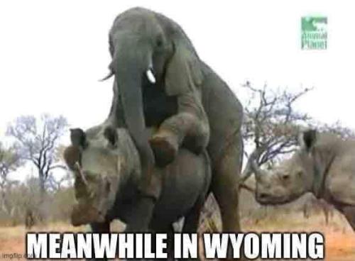 FB_IMG_1660792577140