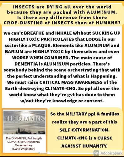 Screenshot_2022-08-09-10-43-13-042_com.google.android.apps.photos~2