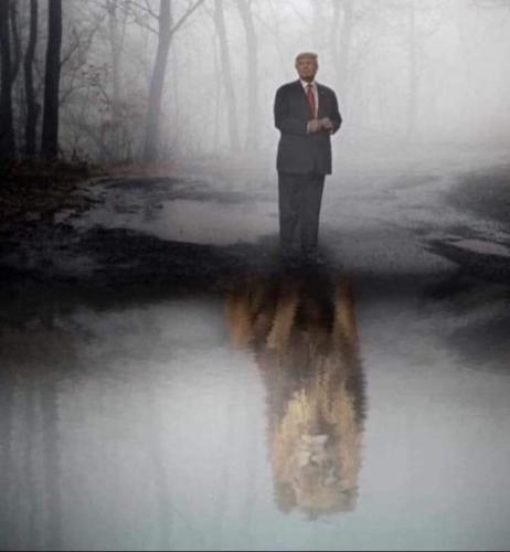 FB_IMG_1660276252670