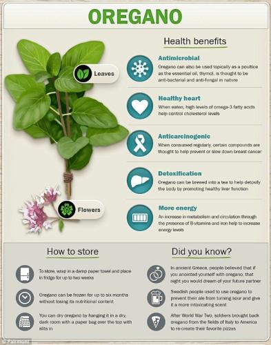 04:56:20 GMT-0500 (CDT)