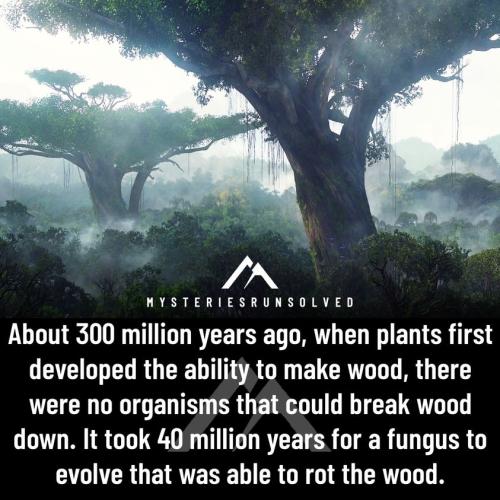 298387886_1628329530882759_6624218660699295017_n