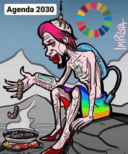 xephula_e45d28547261e0873bcfe1d2c2864d20