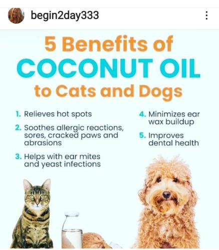 Screenshot_2022-08-16-11-48-13-429_com.instagram.android~2