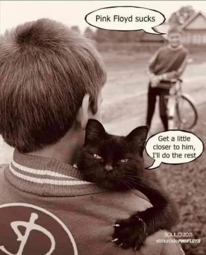 FB_IMG_1661437855534