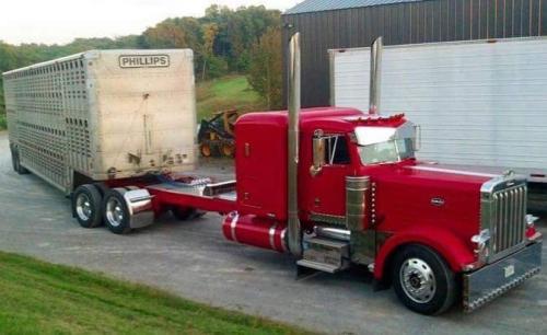 R1hJxrFwMKGw2gZhEC385Q