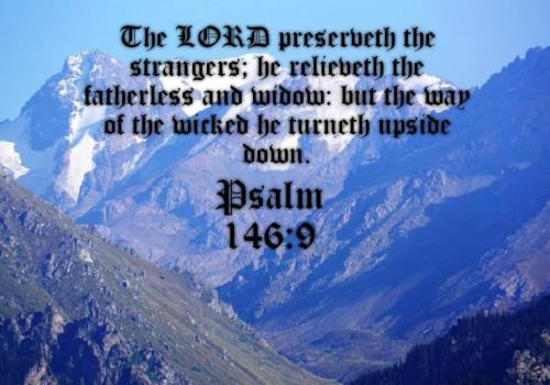 FB_IMG_1640821526912