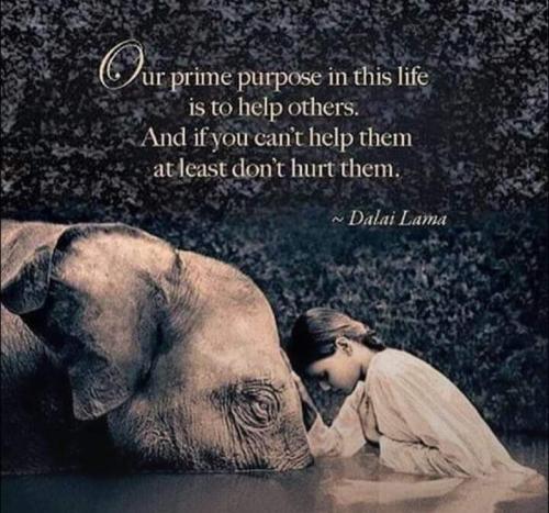 FB_IMG_1659689900249