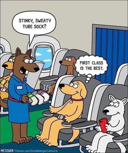 FB_IMG_1659738929630