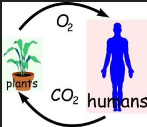 Screenshot_2022-08-09-06-21-16-258_com.duckduckgo.mobile.android~2