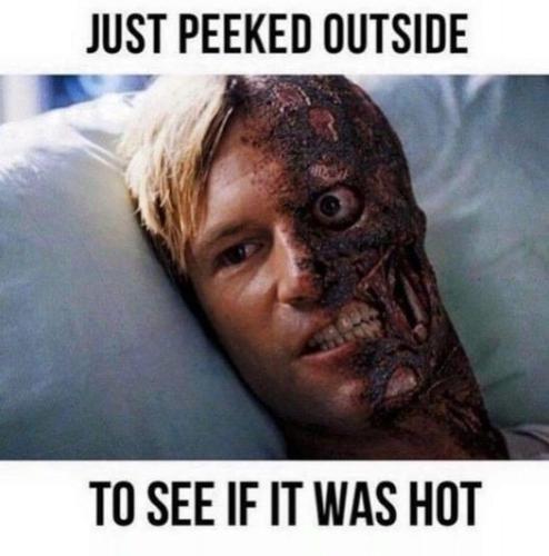 peeked_outside_hot