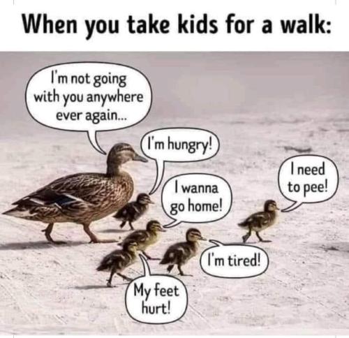 FB_IMG_1659540048908
