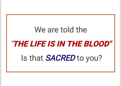 Screenshot_2022-08-06-15-54-58-301_cn.wps.moffice_eng~2