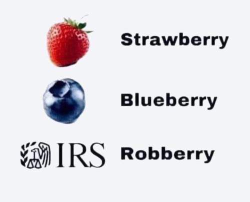 FB_IMG_1660786238746