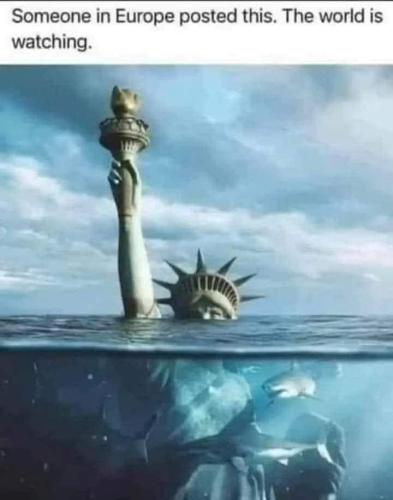 FB_IMG_1660321013569