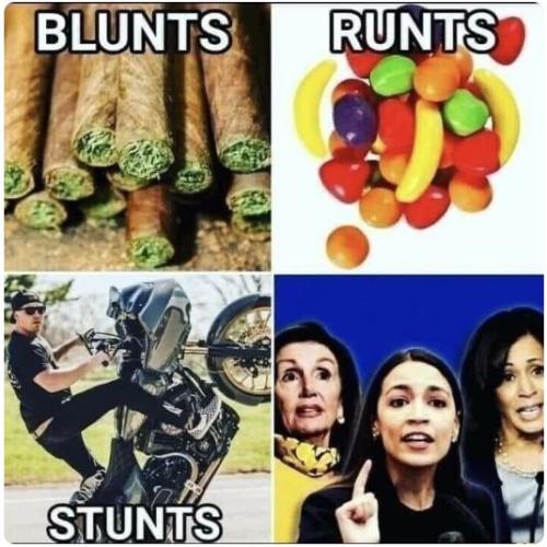 Blunts-Runts-Stunts