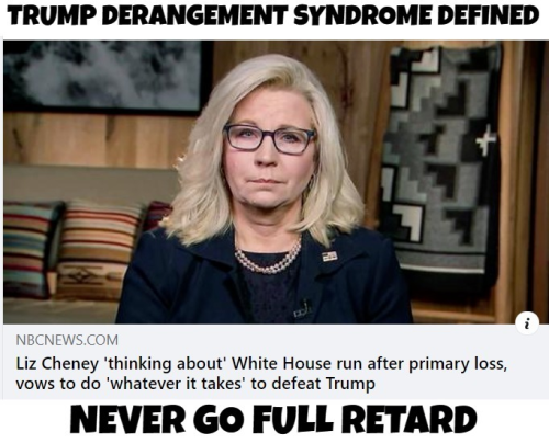 Trump derangement syndrome defined