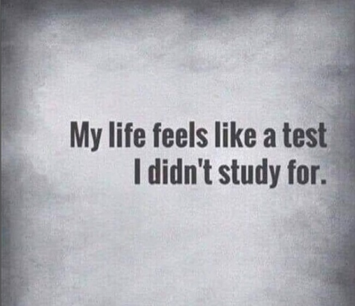 captures_chrome-capture-2022-7-4 (6)