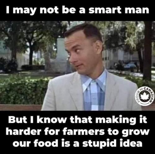 FB_IMG_1661316305628