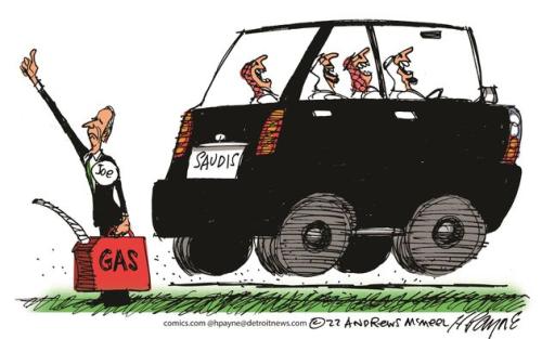 payn_c19179420220720120100