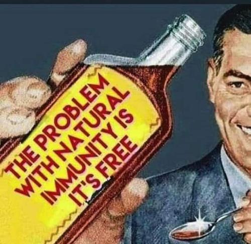 FB_IMG_1660763881643