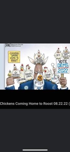 FB_IMG_1661366381877