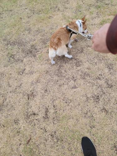 Resized_20220727_075203