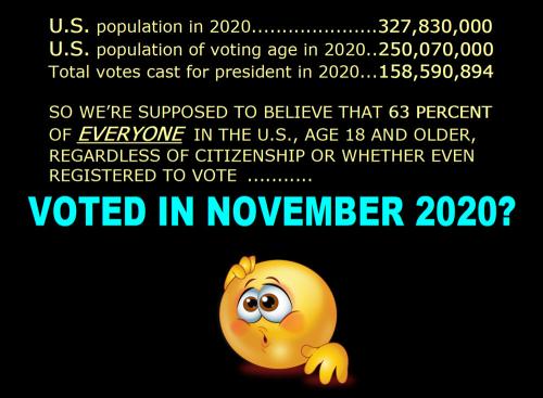 percent voted in 2020