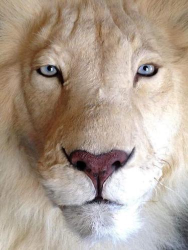 FB_IMG_1661221336320